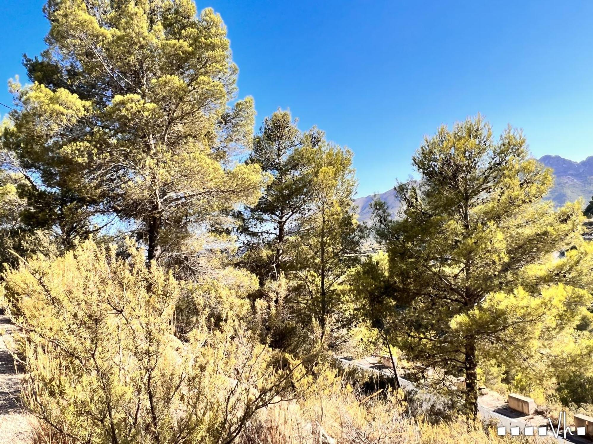 Vh Costablanca - Calima Βίλα Benissa Εξωτερικό φωτογραφία